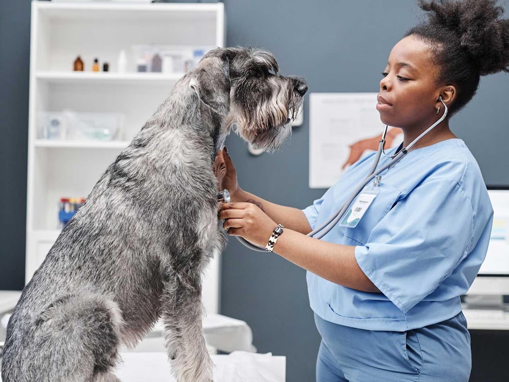 Banfield Pet Hospital