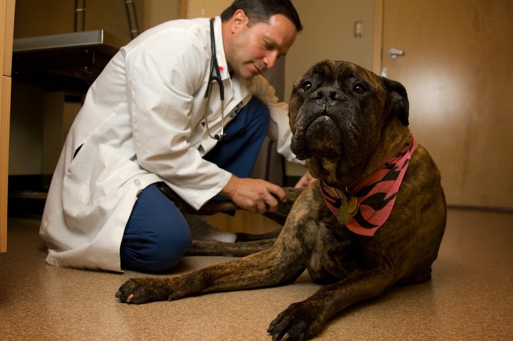 Overland Animal Hospital