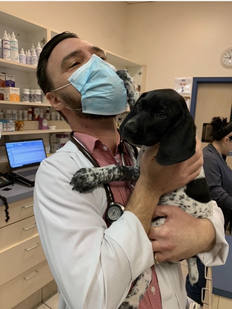 State Of The Heart Veterinary Care