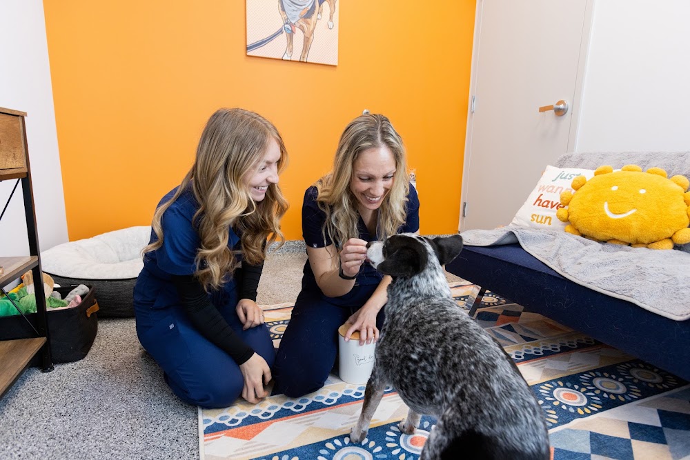 PetVet365 Pet Hospital Denver/Westminster
