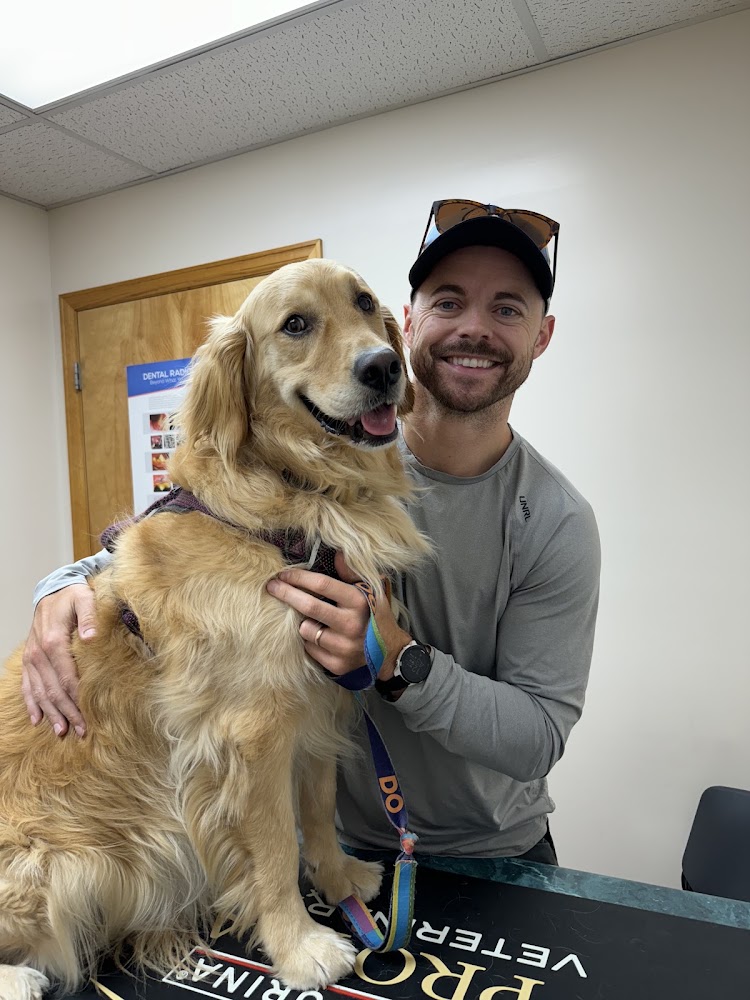 Foothills Animal Hospital