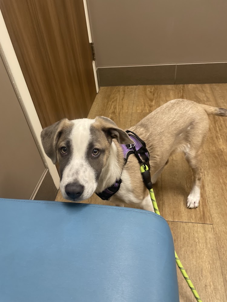 Evans East Animal Hospital