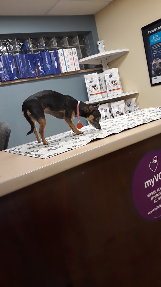 VCA Anderson Animal Hospital
