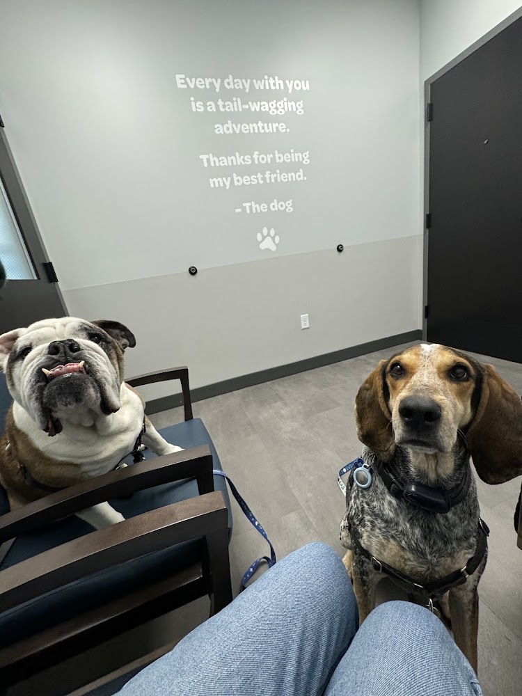Livewell Animal Hospital of RiNo