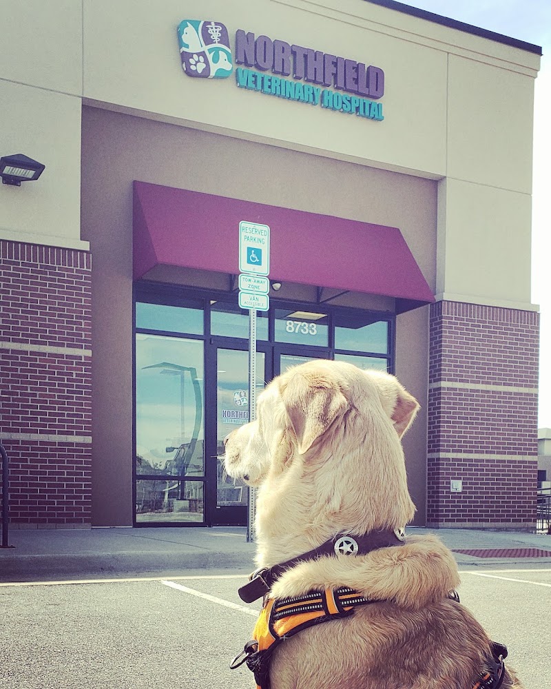 Northfield Veterinary Hospital