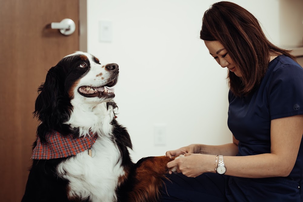 Founders Green Animal Hospital