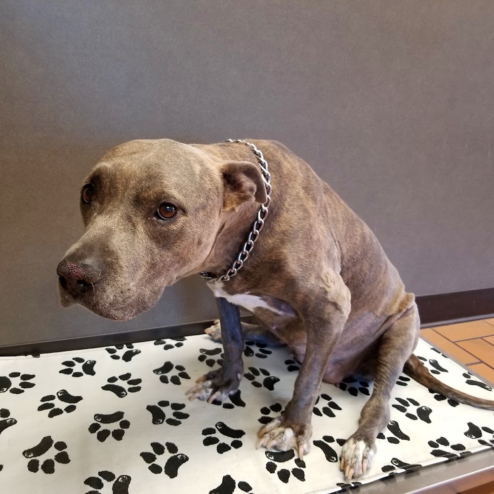 Alameda Veterinary Clinic